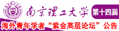 骚黄啊草日强奸南京理工大学第十四届海外青年学者紫金论坛诚邀海内外英才！